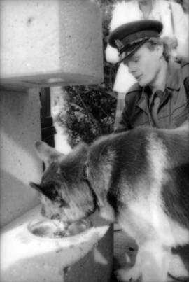 Constable Rob Bosley and police dog Sport at drinking fountain