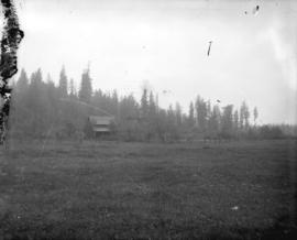 [View of house with large clearing in foreground, and forest in background]
