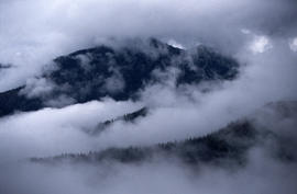 Alpine and Montane : Hurricane Ridge- view from ridge to west