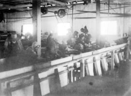 [Interior of a fish cannery]