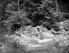 [Boys fishing in Lynn Creek at] Lynn Valley