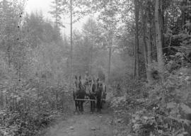 [Team of horses and wagon on trail in forest]