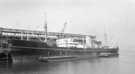 M.S. Kina [at dock, with barges alongside]