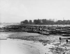 [View of the debris left on Kitsialno Beach after a storm]