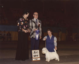 Best in Group [Terrier Group: West Highland Terrier] award being presented at 1976 P.N.E. All-Bre...