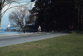[View of the seawall and a lighthouse at Stanley Park]