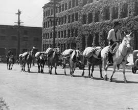 Old time cariboo pack train leaving stables, Beatty and Cambie Streets, 20th July, 1936