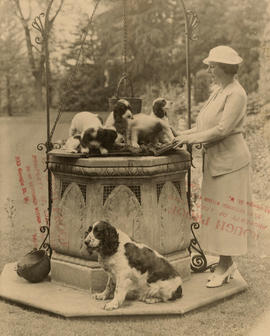 Aldyen Hamber with English Springer Spaniels