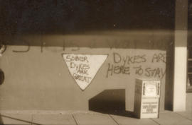 Dykes on the Drive : dyke march