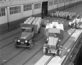 Central Transfer Trucks at Pier "B"