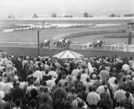 Horse race on Exhibition Park race track