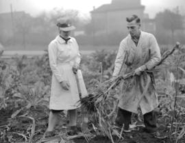 Bordeaux [Company employees tending plants]