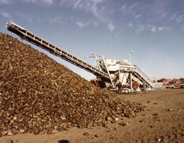 Manitoba Sugar Company - moving equipment building beet piles