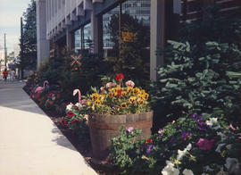 Summer flowers planted in May, 1986 [at 1477 West Pender Street]