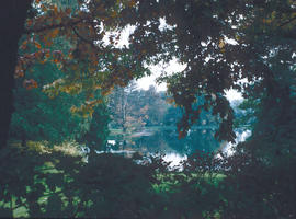 Gardens - Canada : Stanley Park