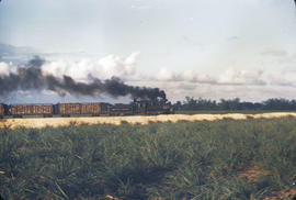 Ozama - locomotive #8