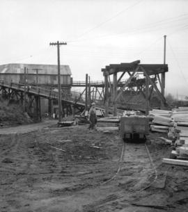 [Wooden mining structures and buildings and a loaded mining cart on rails]