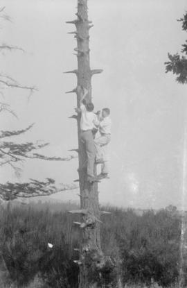 A.W. Mercer "Al" and J.W. Hackney "Hack" climbing a tree