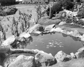 [Garden and pond at Vivian E. Bennett residence - 1735 East 49th Avenue]