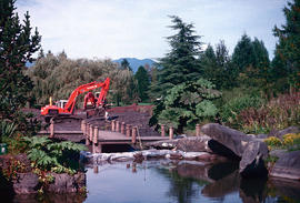 Lake restoration : Coffer Dam
