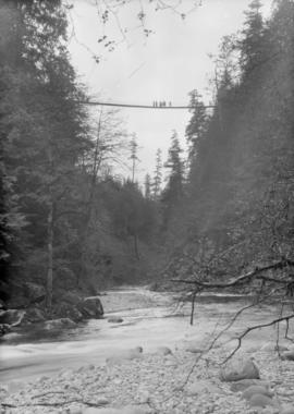 Capilano Creek and Suspension Bridge