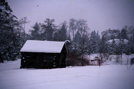 Canadian Heritage Garden : winter