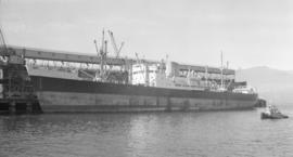 M.S. Albany [at dock]
