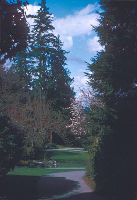 Gardens - Canada : Stanley Park