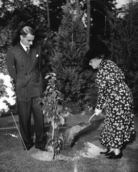 [Mrs. James Esselmont plants a "Frances Willard" tree in the rock garden in Stanley Park]