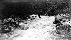 Bud [Rose] crossing our stream during flood