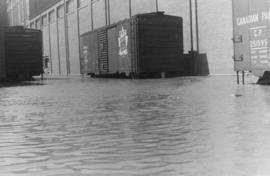 Train cars submerged to top of wheels and flood waters