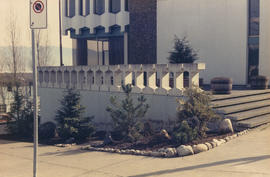 Replanted new trees, landscaped by Pieter Molenaar [at 1477 West Pender Street]