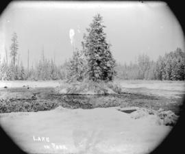 [Beaver Lake in Stanley Park, partially frozen and covered in snow]