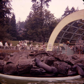 [The seal pool and monkey enclosure in zoo at Stanley Park]