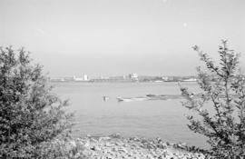 [View of the eastern waterfront from Stanley Park]
