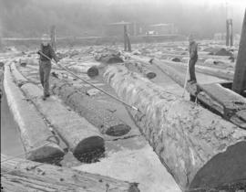 Logs in sorting boom [at] Pacific Mills