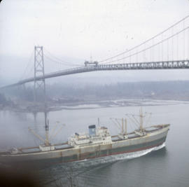 [Ship going under Lions Gate Bridge]