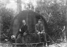 [John Barrow and John Reid sitting on a stump]