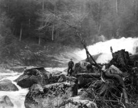 The falls on Gold Creek