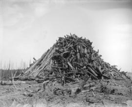 [A pile of stumps from land clearing in Kerrisdale]