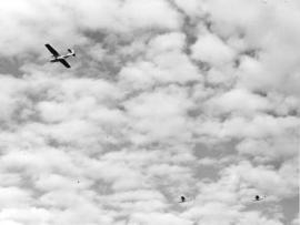 [Three Catalina Patrol Bombers on test flight]