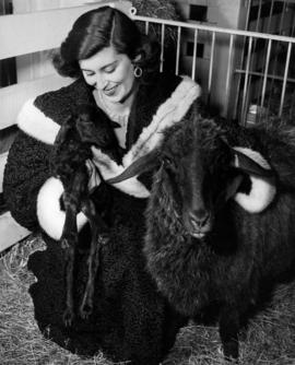 Lady in fur coat posing in barn with ewe and black lamb