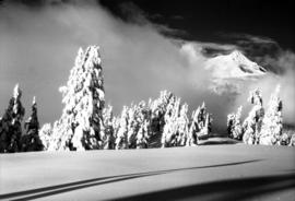 On the ski trail into Garibaldi Park