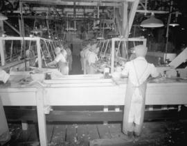 Imperial Canning [production lines in the plant]
