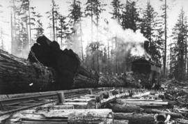 McNair Fraser logging camp [at] Hollyburn