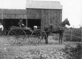 [J.G. Woods in a horse-drawn buggy in front of stable at Leamy and Kyle Sawmill]