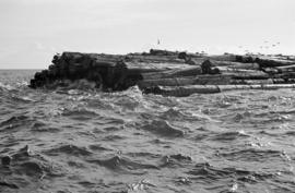 [A "Davis" log raft in choppy water]