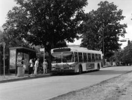 25 King Edward St. bus, eastbound on King Edward at Dunbar