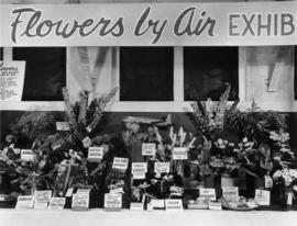 Flowers by Air exhibit in 1952 P.N.E. Horticultural Show