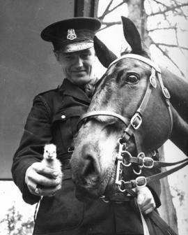 [Constable Cliff Cooper introduces a gosling to his horse "Trooper"]